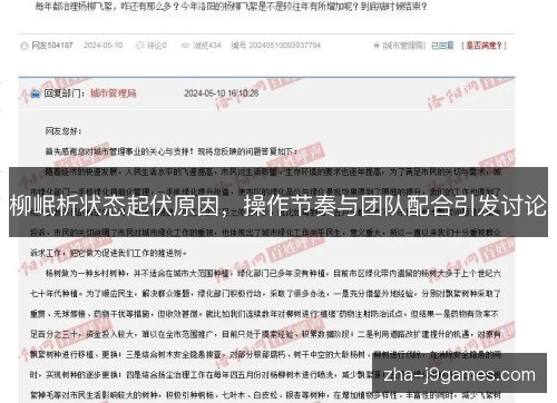 柳岷析状态起伏原因,操作节奏与团队配合引发讨论 柳岷析状态起伏原因,操作节奏与团队配合引发讨论